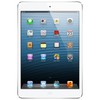 Apple iPad mini 16Gb Wi-Fi + Cellular белый - Оренбург